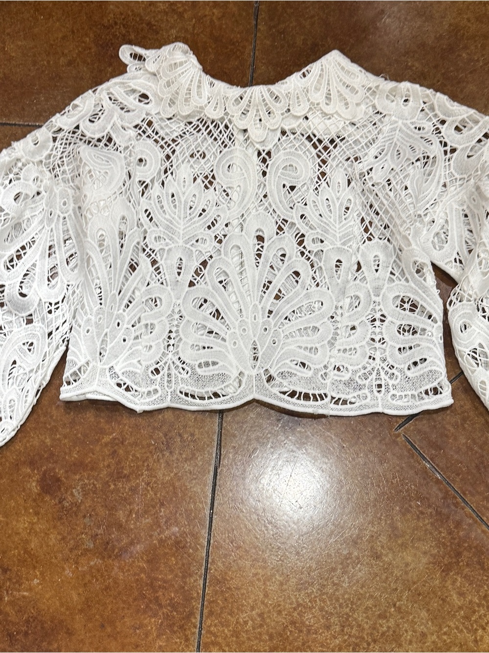 Beulah White Crochet Lace Long-Sleeve Crop Top